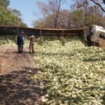 Perturbação do sossego: Morador do bairro Santa Luzia reclama de barulho da quadra de esportes