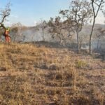 Bombeiros Militares combatem fogo em Unaí