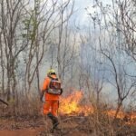 O Corpo de Bombeiros de Unaí atende ocorrências de incêndios em vegetação