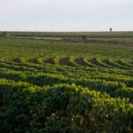Corpo de Bombeiros Militar de Unaí foi acionado para atender uma ocorrência de soterramento em Arinos