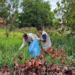 Bom motorista poderá renovar CNH automaticamente, propõe governo