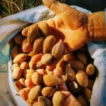 Carreta com 38 toneladas de milho tomba na serra da COENG e interdita faixas da BR-040 em João Pinheiro