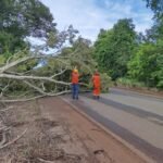 Case Quilombo São Domingos é apresentado durante Encontro Estadual das Cidades Históricas