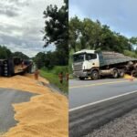 Castanha de Baru será apresentada na maior feira de produtos orgânicos da Europa
