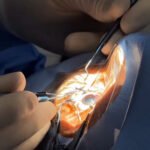 PM Rodoviária prende dois caçadores armados na MG-202, em Urucuia