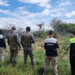Operação Caatinga Resiste autua mais de 10 mil hectares de desmatamento ilegal em nove estados