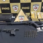 Bombeiros resgatam animal silvestre em via pública de Unaí