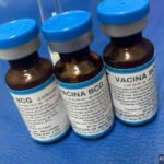 PM prende suspeito e apreende drogas em operação no Água Branca II, em Unaí