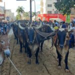 Rotas turísticas do Noroeste são apresentadas no Minas Travel Market (MTM)